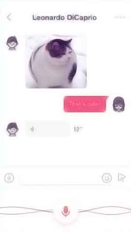 免费ddos在线攻击测试网站软件程序维护界面